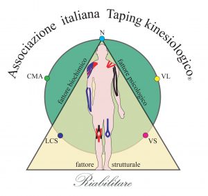 AssTapingKines01