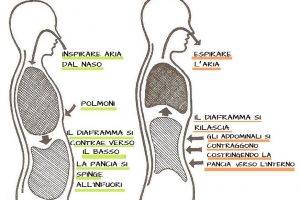 respirazione diaframmatica