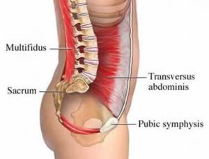 schema del core stability