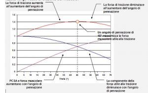 grafico 5