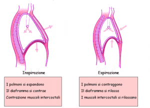 respirazione