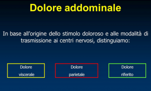 schema del dolore viscerale