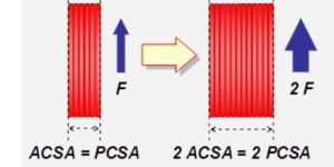 struttura delle fibre.JPG 2.JPG3